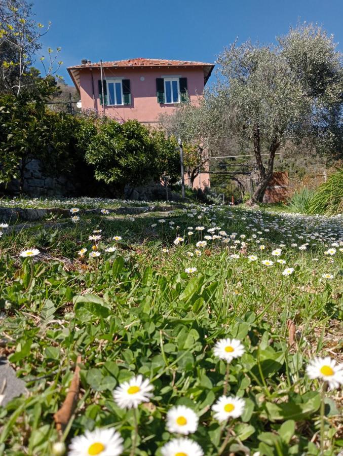 Tenuta Di Venere Hotel Porto Venere Buitenkant foto