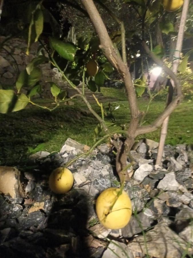 Tenuta Di Venere Hotel Porto Venere Buitenkant foto